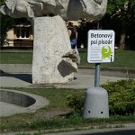 Brno zidenice 9