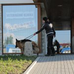 chotebor03
