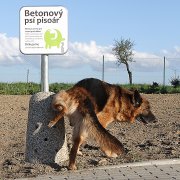 chotebor04